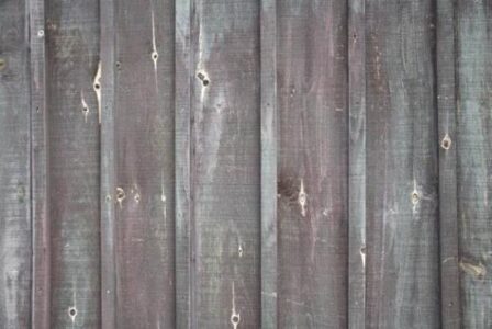 Polar Mosquitoes and Killer Flying Squirrels Image